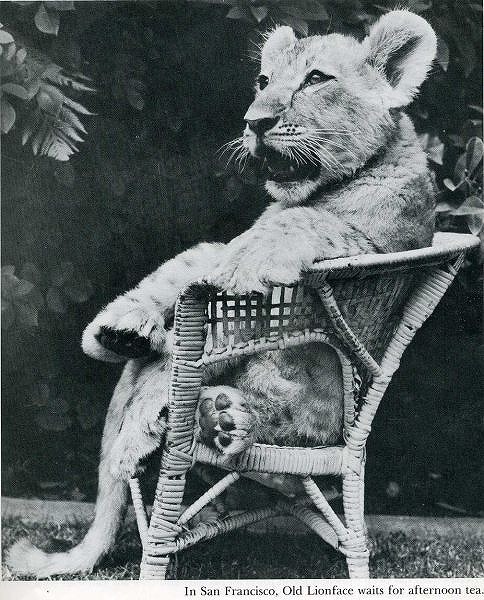 classic_life_magazine_photos_61