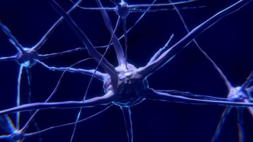 nerve-cell-2213009_640_e