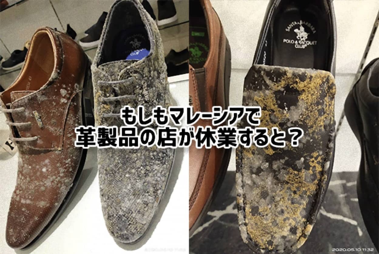 日常の「もしも」の答えがわかる