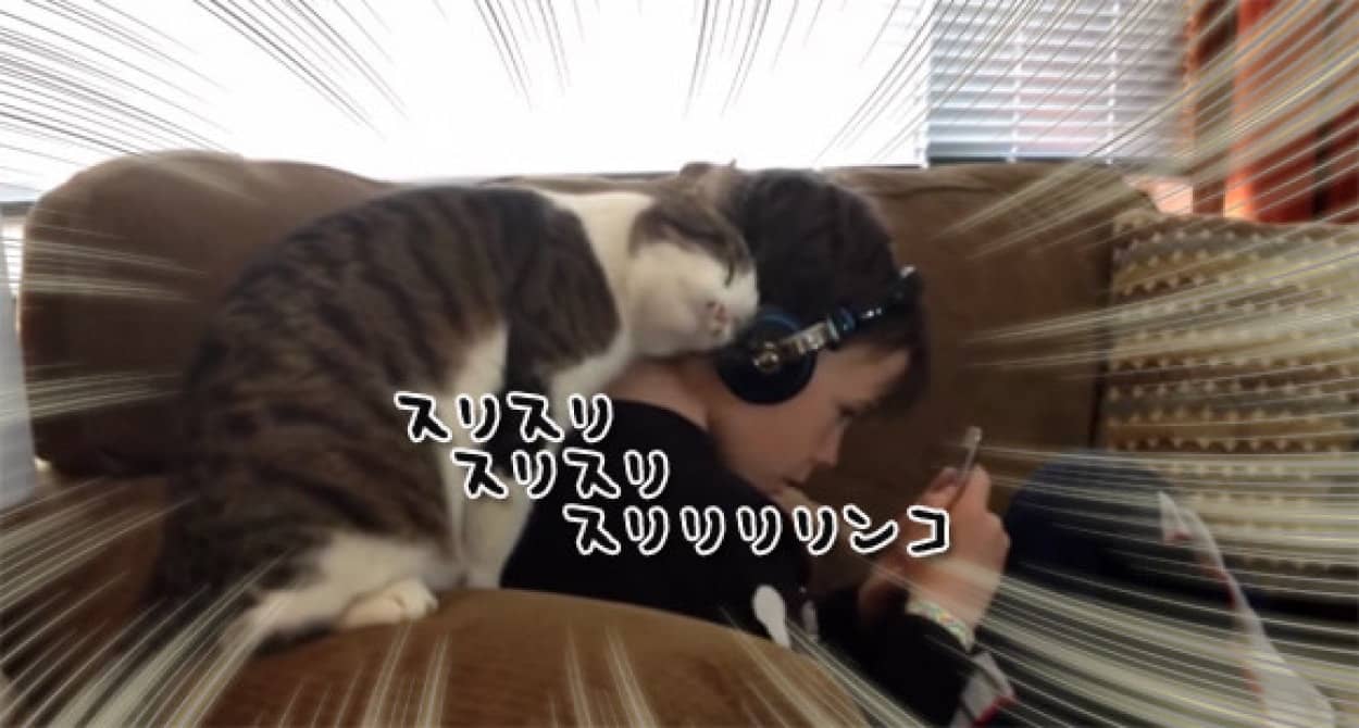 かまってもらうまではやめないんだから 激しすぎる猫のスリスリがエンドレス状態に突入 果たして少年は カラパイア