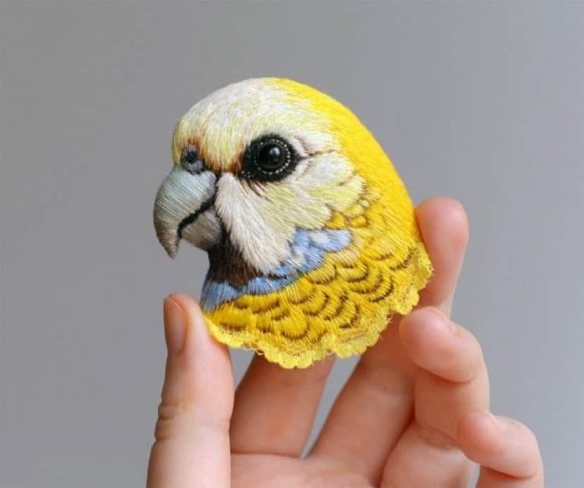 bird-1_e