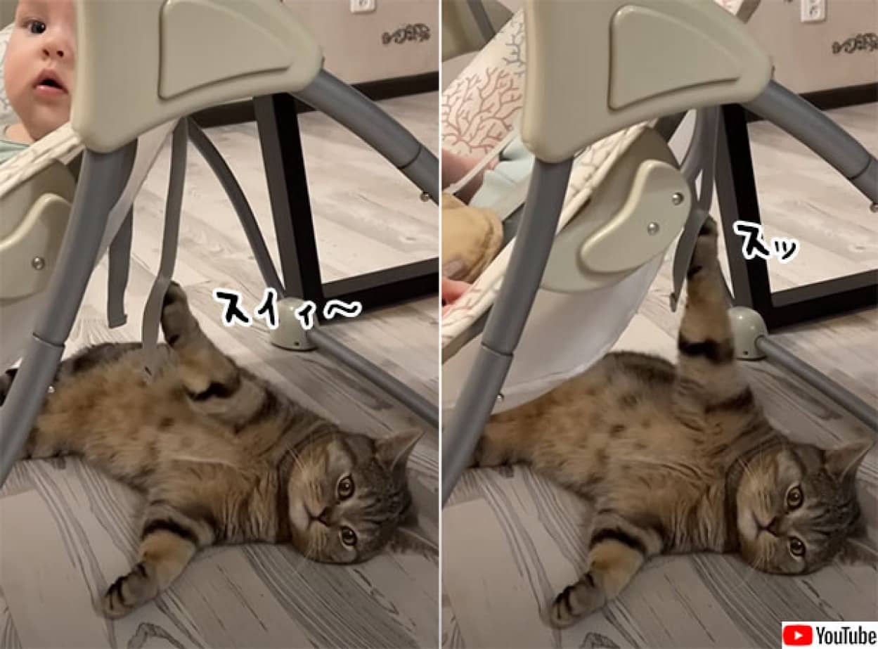 赤ちゃんのゆりかごを押す猫