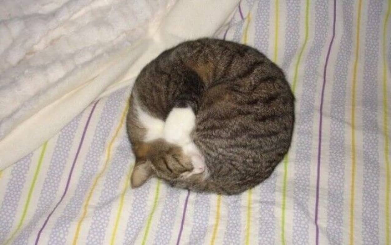 circle0_e