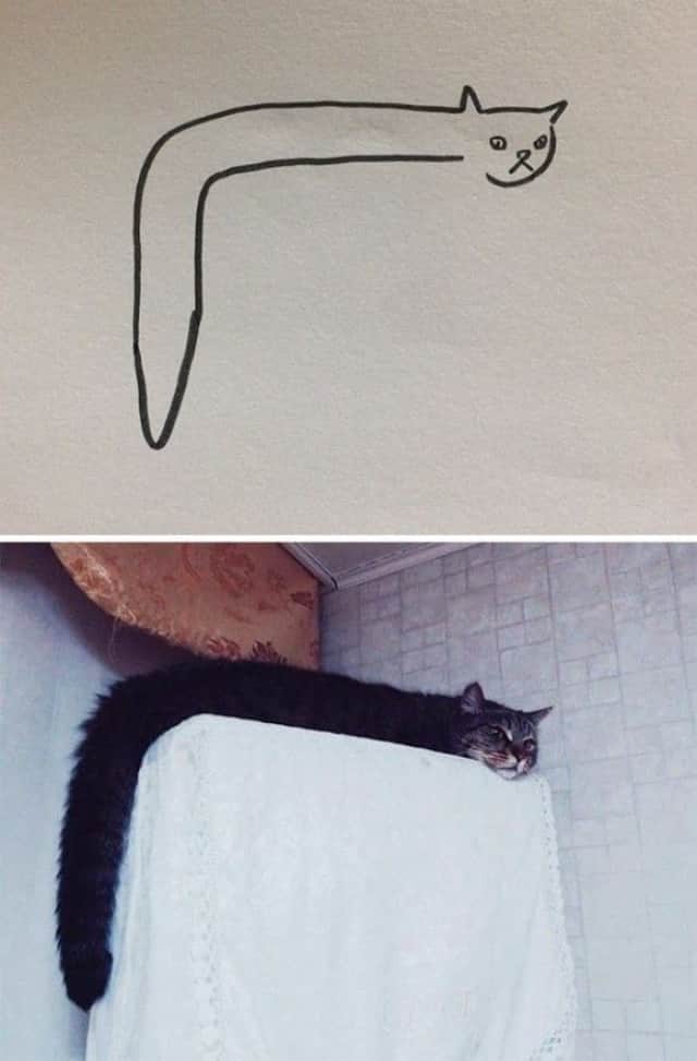 そんな猫がいるわけないって 本当にいるじゃん 超ミニマルに表現した猫イラストと実際の猫を比較 そっくりだった カラパイア そんな猫がいるわけないって 本当にいるじゃん 超ミニマルに表現した猫イラストと実際の猫を比較 そっくりだった カラパイア