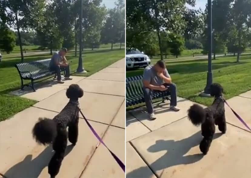 10か月ぶりに再会する友人 果たして犬は覚えているだろうか カラパイア