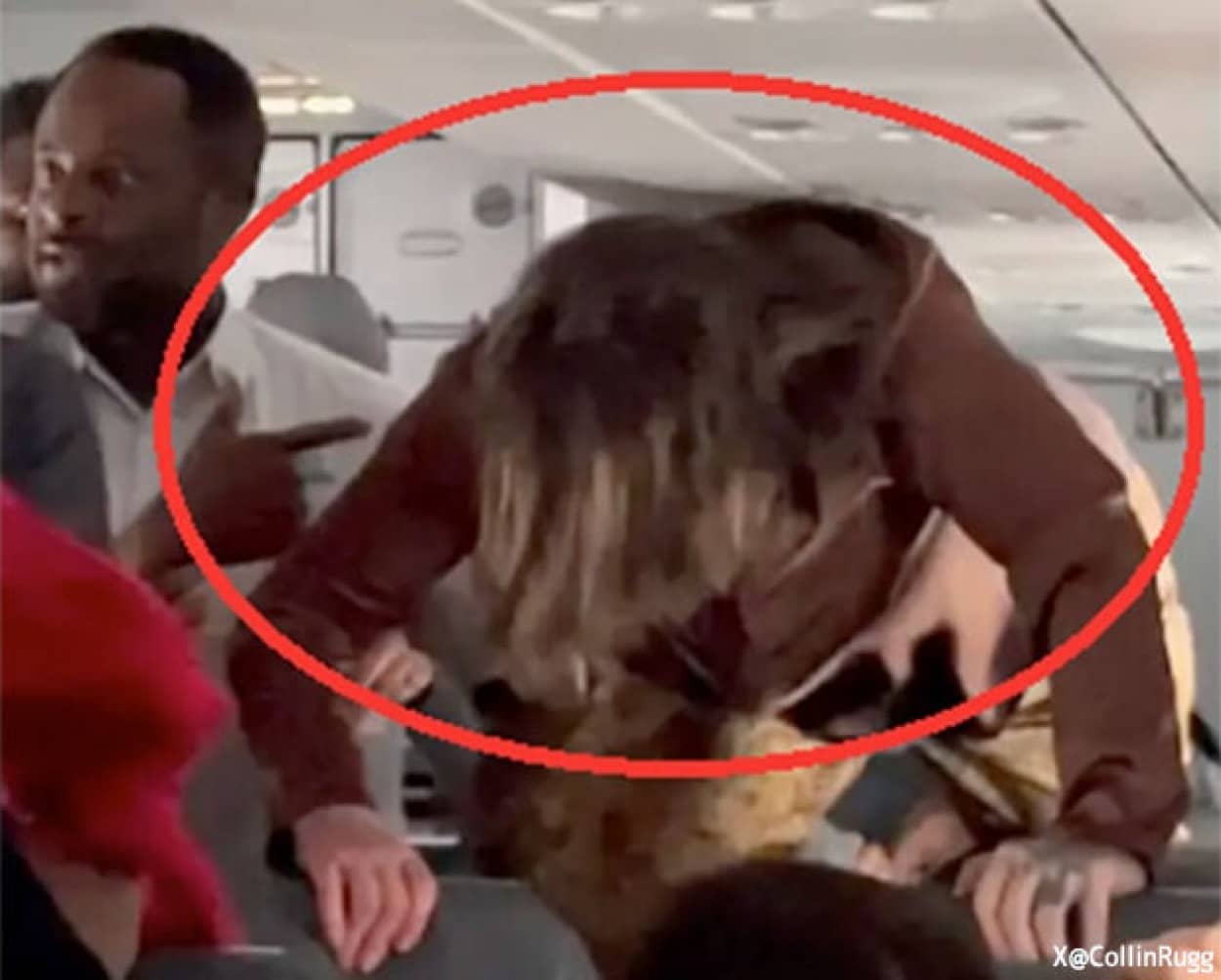 飛行機内で女性が奇妙な行動を起こし乗客騒然