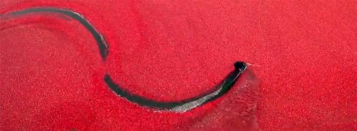 目にも鮮やか 水に浮かぶ真っ赤なクランベリーの上で豪快に水上スキー カラパイア 目にも鮮やか 水に浮かぶ真っ赤なクランベリーの上で豪快に水上スキー カラパイア