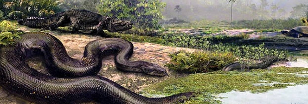 コロンビアで発見された過去最大級の巨大ヘビの等身大レプリカが公開中 ニューヨーク カラパイア