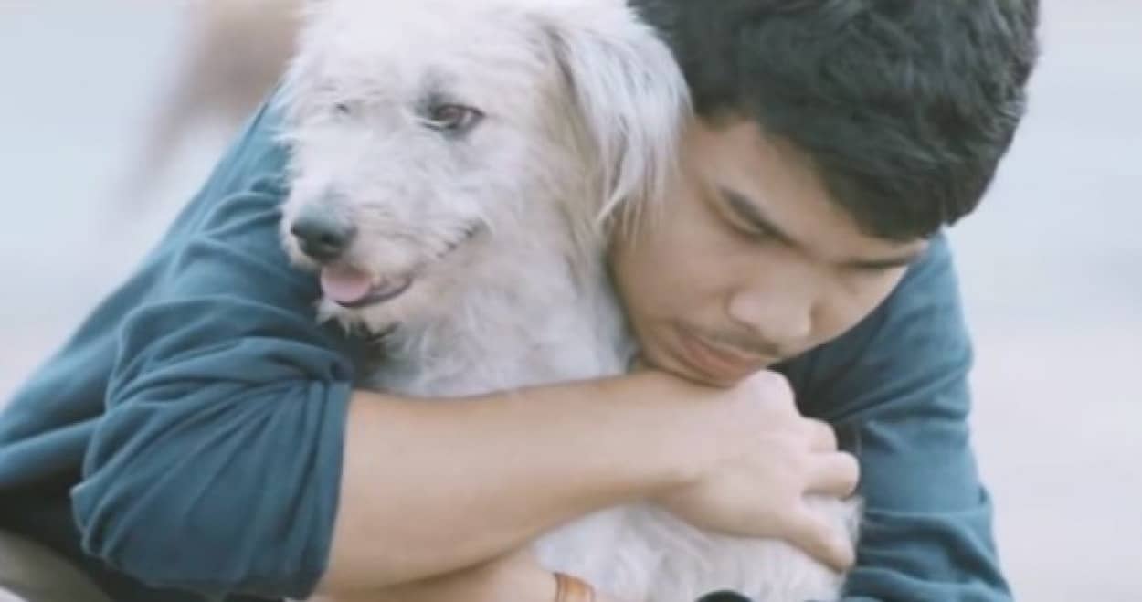 人間のぬくもりを知らない野良犬たちを心から抱きしめたら何が起こるのか 野良犬を抱きしめるプロジェクト ファースト ハグ カラパイア