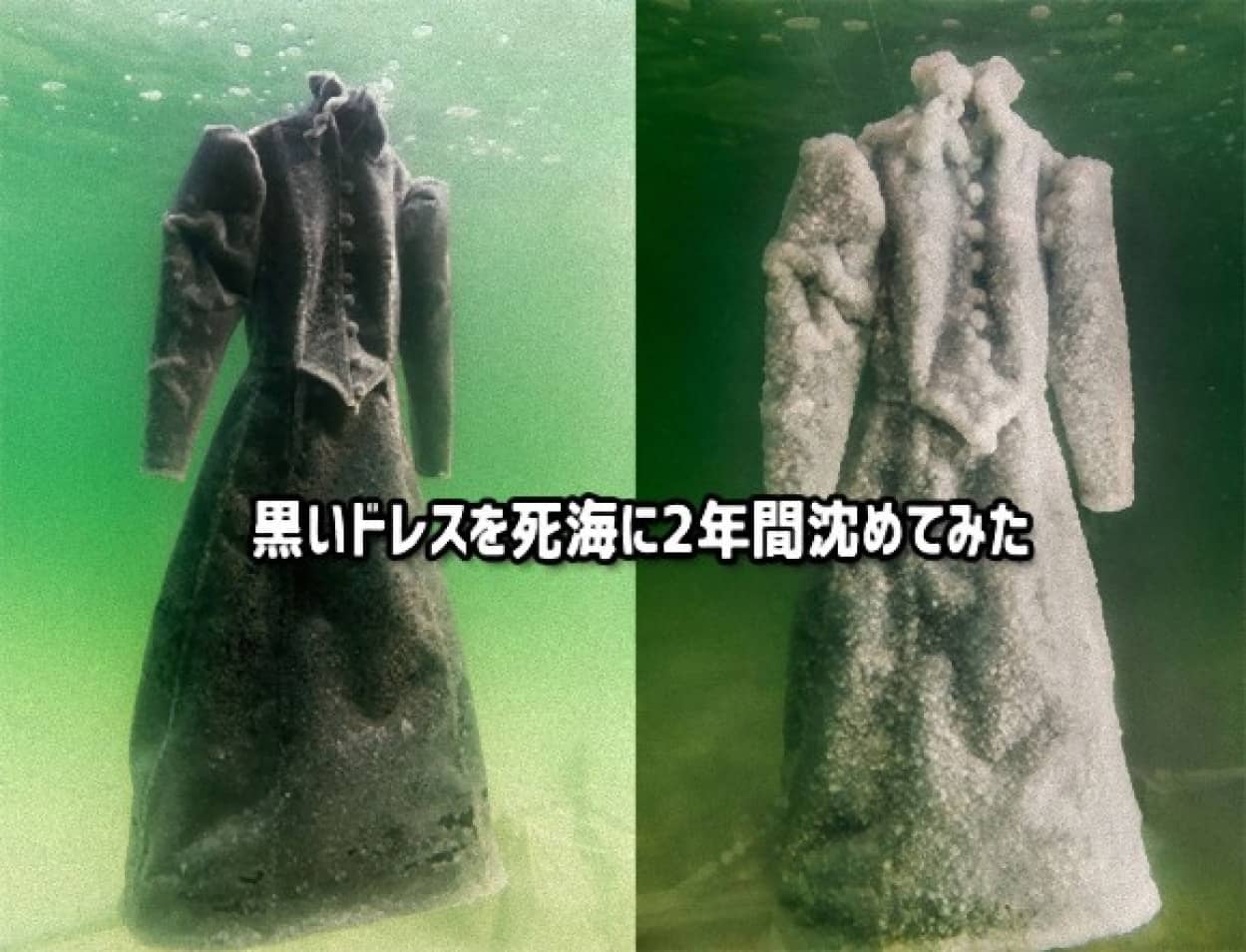 真っ黒のドレスを死海に2年間沈めてみたところ 白いウエディングドレスが出来上がったようだ カラパイア