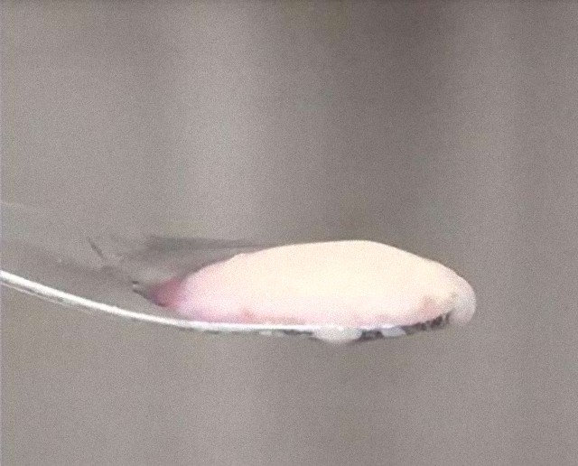 1_e15