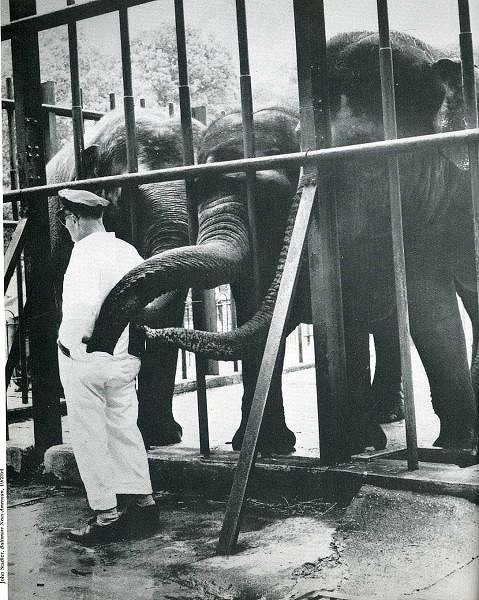 classic_life_magazine_photos_65
