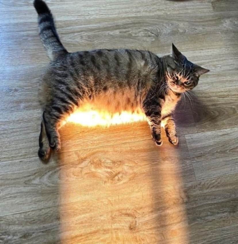7_e0