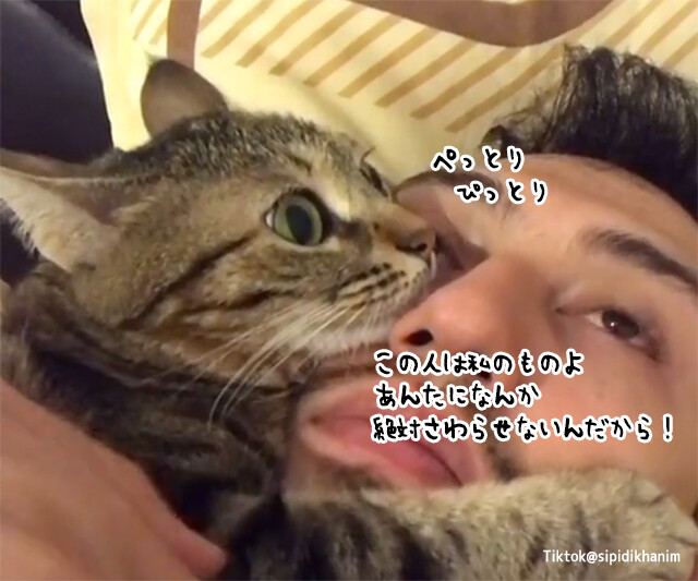 やめて私の男よ！ヒゲメンが好きすぎる猫。彼女がキスをしようとすると猫パンチ＆キシャー！