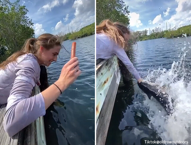 魚を素手で捕ろうとしたところ、逆に手ごと持っていかれる