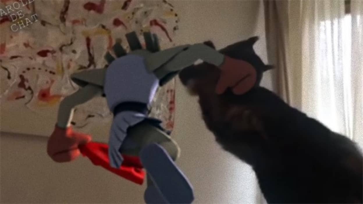 ポケモンと猫 常に戦っていることがわかる映像 カラパイア