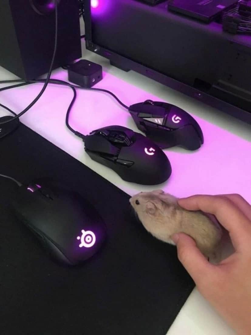 10_e