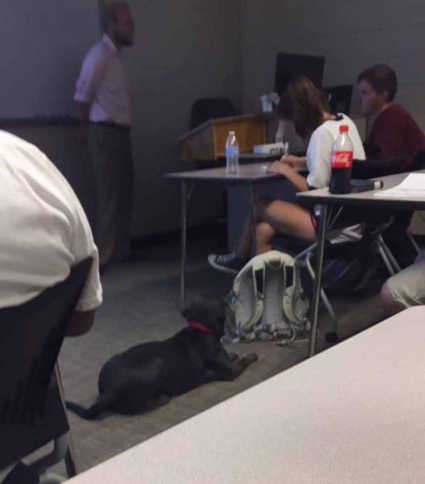 professor10_e