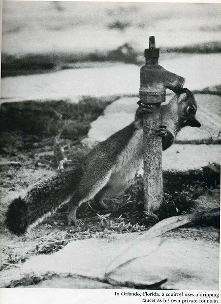 classic_life_magazine_photos_03