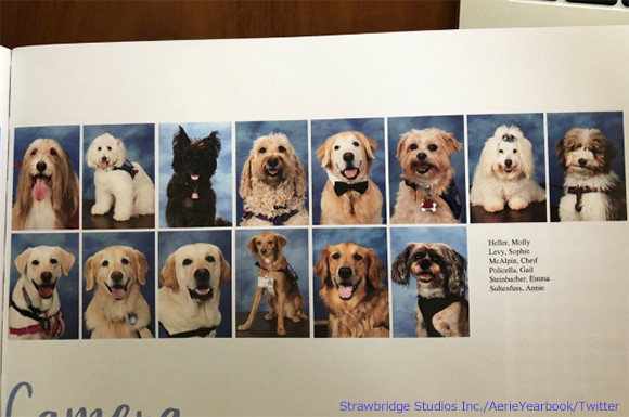 銃乱射事件のあったフロリダの高校で、卒業アルバムに14匹のセラピー犬のページが作られる（アメリカ）