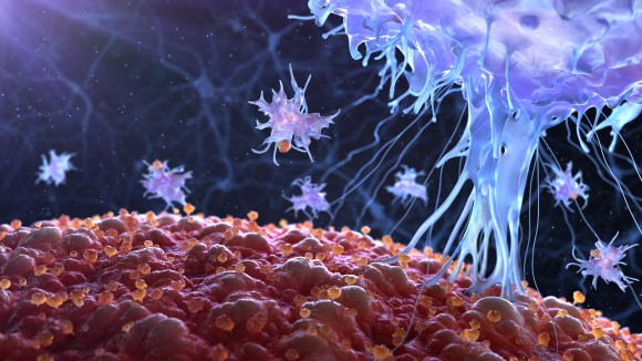 がん細胞だけを殺す免疫細胞が発見される。万能ながん治療の開発につながると期待（英研究）