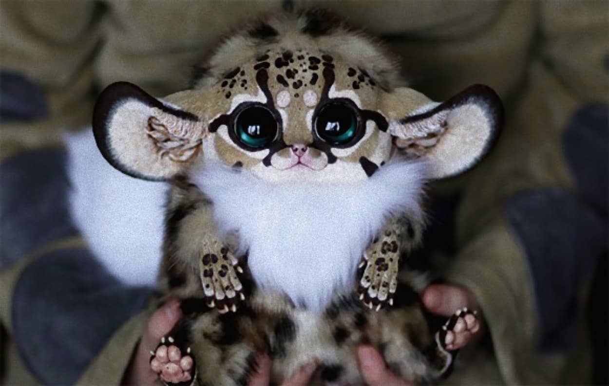 不気味かわいい ロシア人女性が作ったハイパーリアルなファンタジー世界のクリーチャー カラパイア 不気味かわいい ロシア人女性が作ったハイパーリアルなファンタジー世界のクリーチャー カラパイア