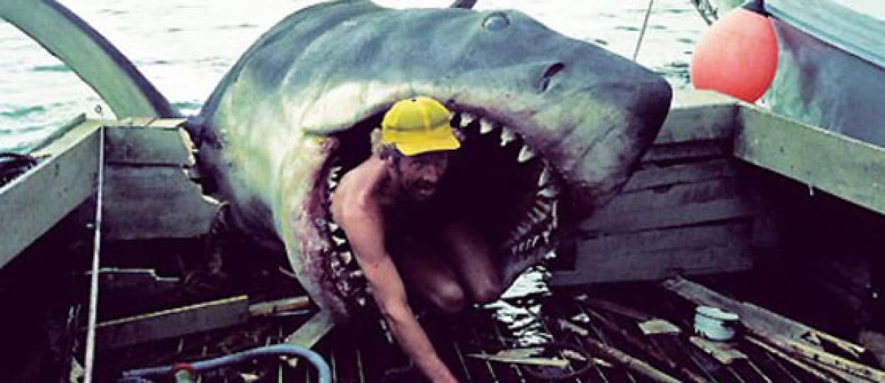 サメ 鮫 jaws ジョーズ レジン リアル 映画 洋画