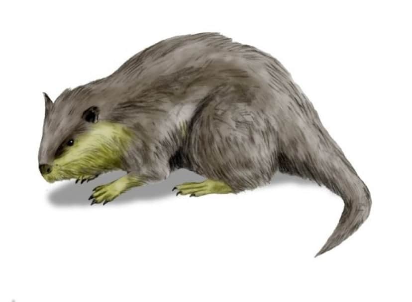 10_e2