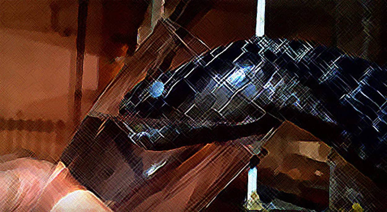 漆黒の体に青い目を持つコブラ 脱皮するときはすごく人になつく コップから水を飲みモフられるのもいとわない カラパイア 漆黒の体に青い目を持つコブラ 脱皮するときはすごく人になつく コップから水を飲みモフられるのもいとわない カラパイア
