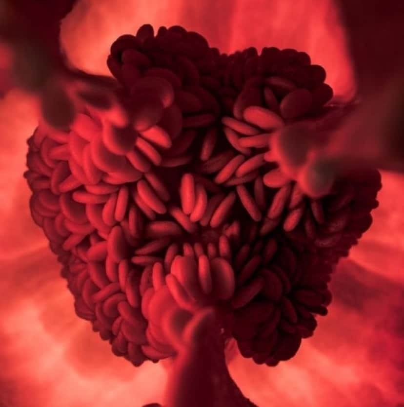 14_e