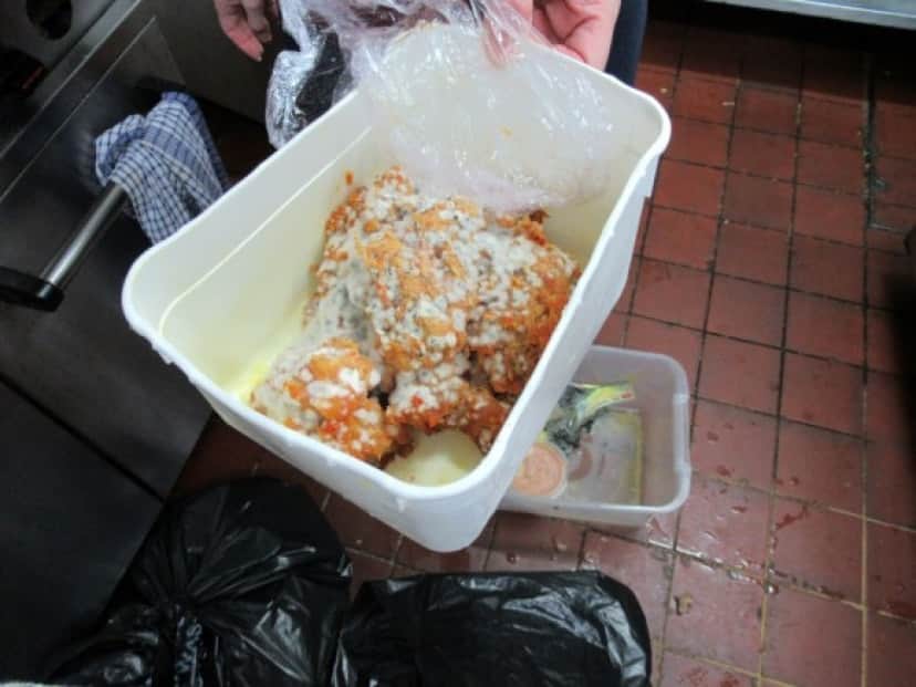 rotten chicken_e