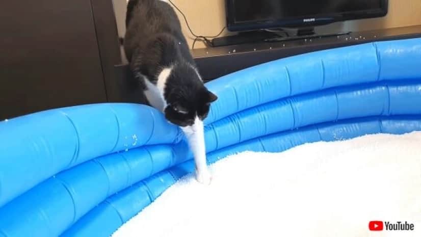 beanbag3_640