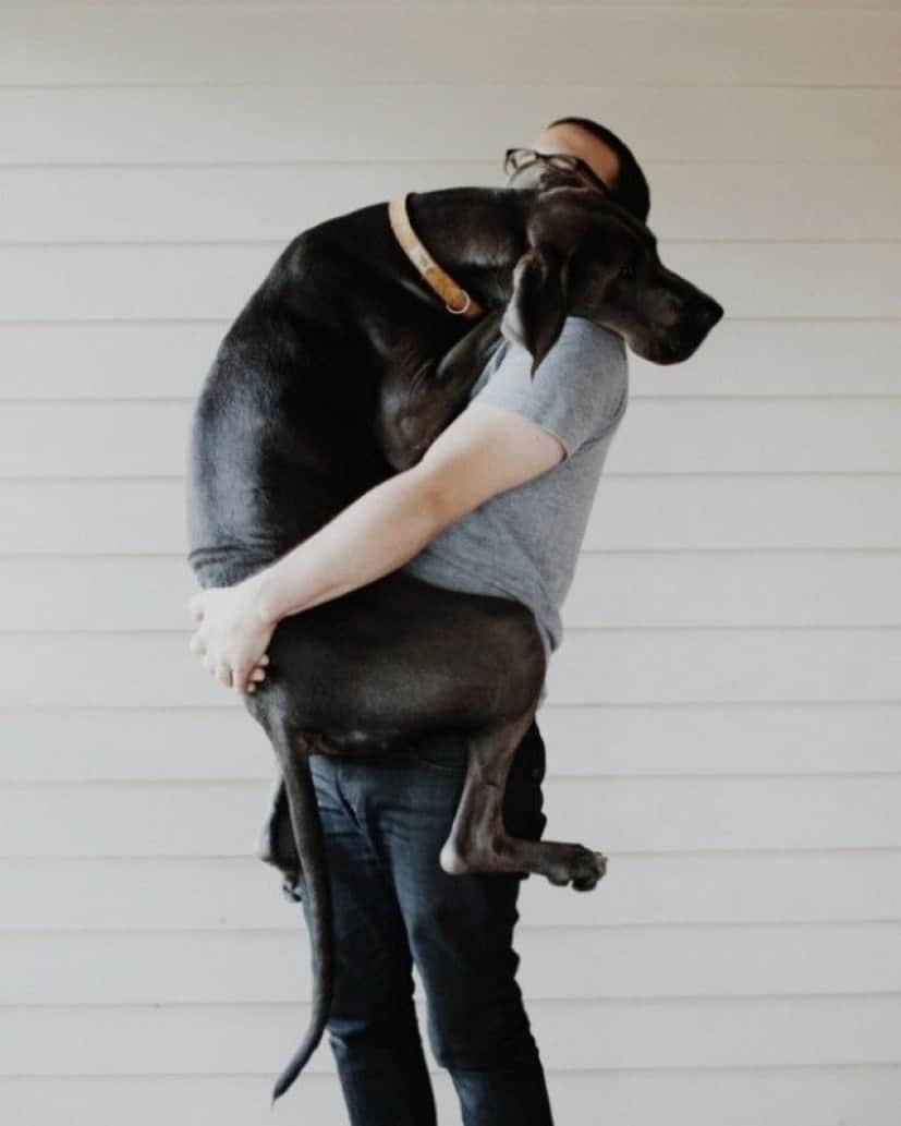 big-puppy19_e