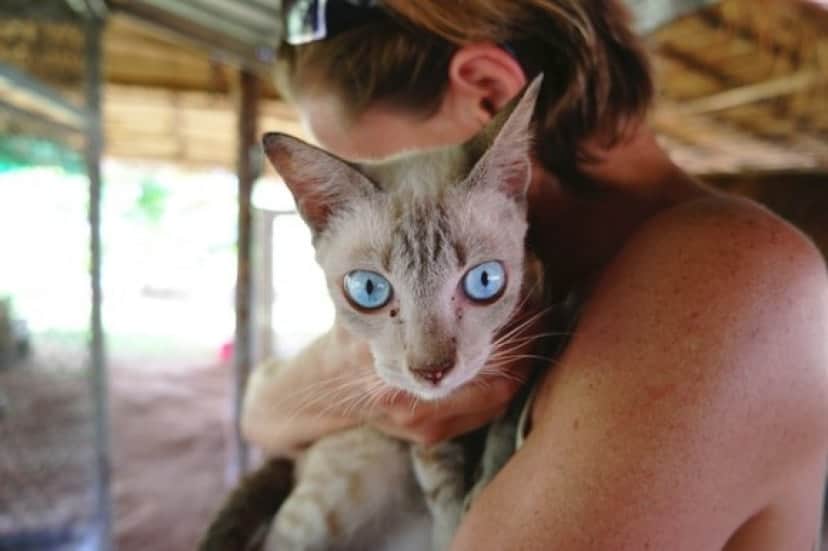 猫嫌いの彼氏と同棲を始めた女性 猫に暴言を吐いているのを目撃し男性に 猫を追い出すくらいならお前が出ていけ カラパイア 猫嫌いの彼氏と同棲を始めた女性 猫に暴言を吐いているのを目撃し男性に 猫を追い出すくらいならお前が出ていけ カラパイア