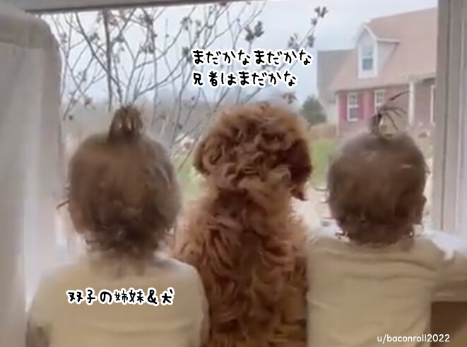 こんな動画だけ見ていたい。お兄ちゃんの帰りを肩を並べて待ちわびる双子と犬