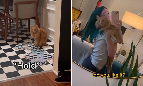 訓練次第ではうちの子も 犬や猫とコミュニケーションがとれるボタン カラパイア