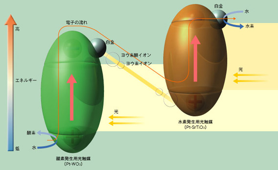 人口工構成