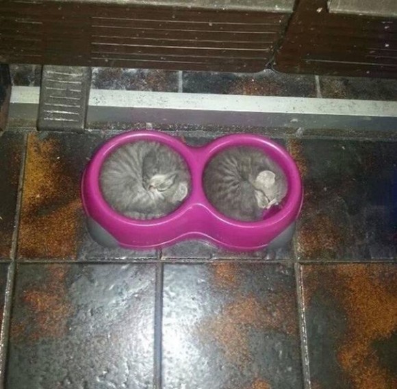 3_e3