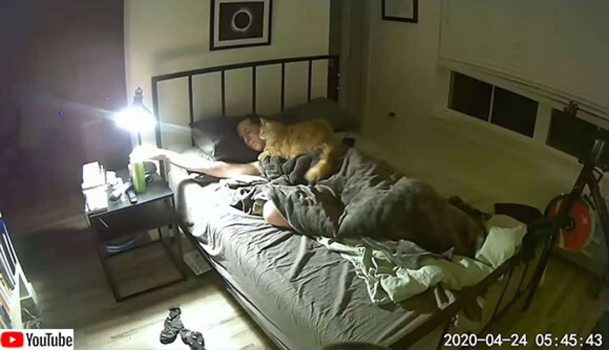 猫飼いあるある 早朝の2時間にわたるベッド上での攻防戦をご覧ください カラパイア 猫飼いあるある 早朝の2時間にわたるベッド上での攻防戦をご覧ください カラパイア