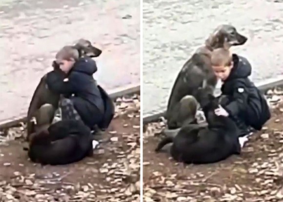 通学途中の少年が野良犬をぎゅっと抱きしめるやさしい世界がここにある