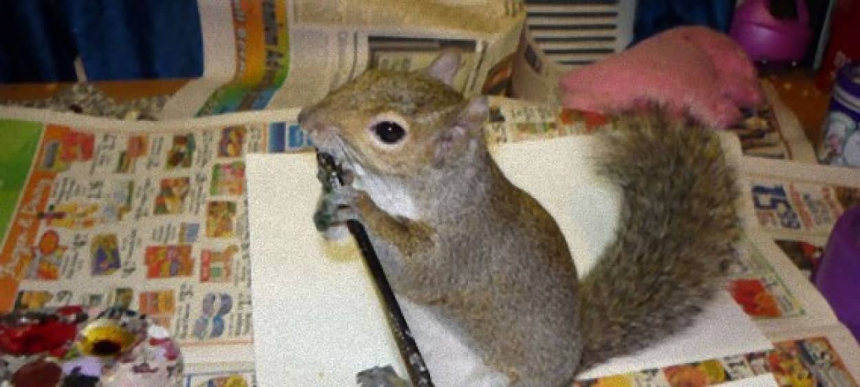 絵を描くし 筆も食べるリス カラパイア 絵を描くし 筆も食べるリス カラパイア