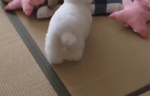 本体どっち ぬいぐるみの横に寄り添う犬がぬいぐるみ以上にぬいぐるみだった カラパイア 本体どっち ぬいぐるみの横に寄り添う犬がぬいぐるみ以上にぬいぐるみだった カラパイア