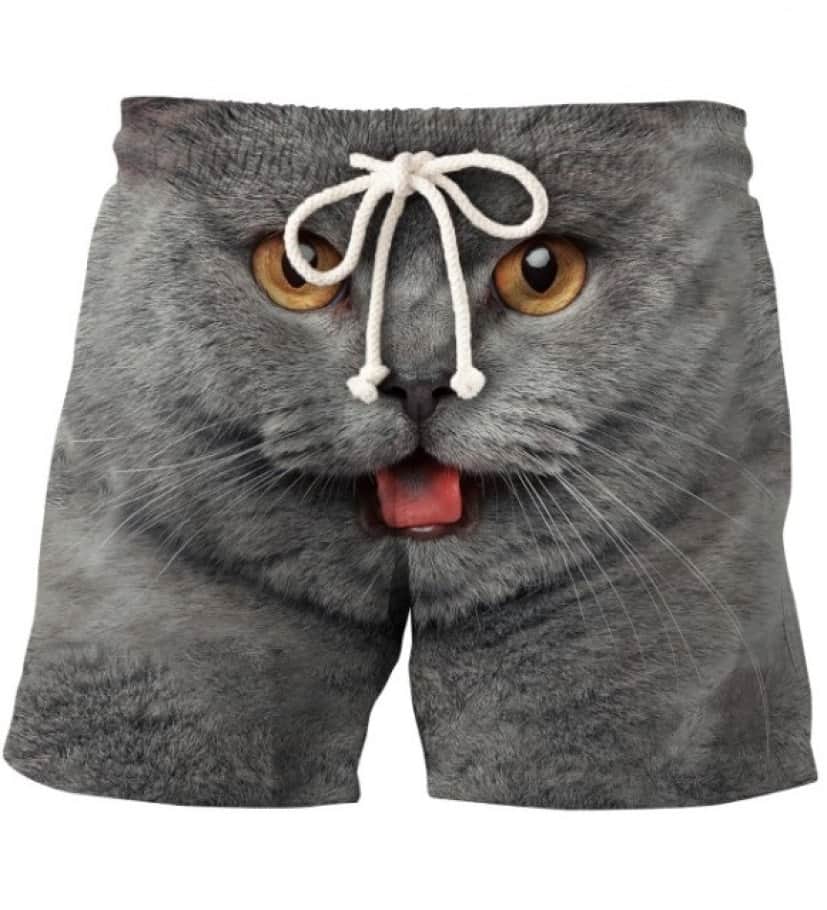 cat3