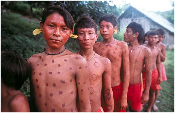 年間孤立していたアマゾンの原住民 ヤノマミ族に抗生物質耐性を持つ遺伝子が多数発見される 米研究 カラパイア