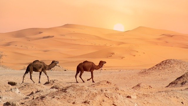 desert-4990324_640