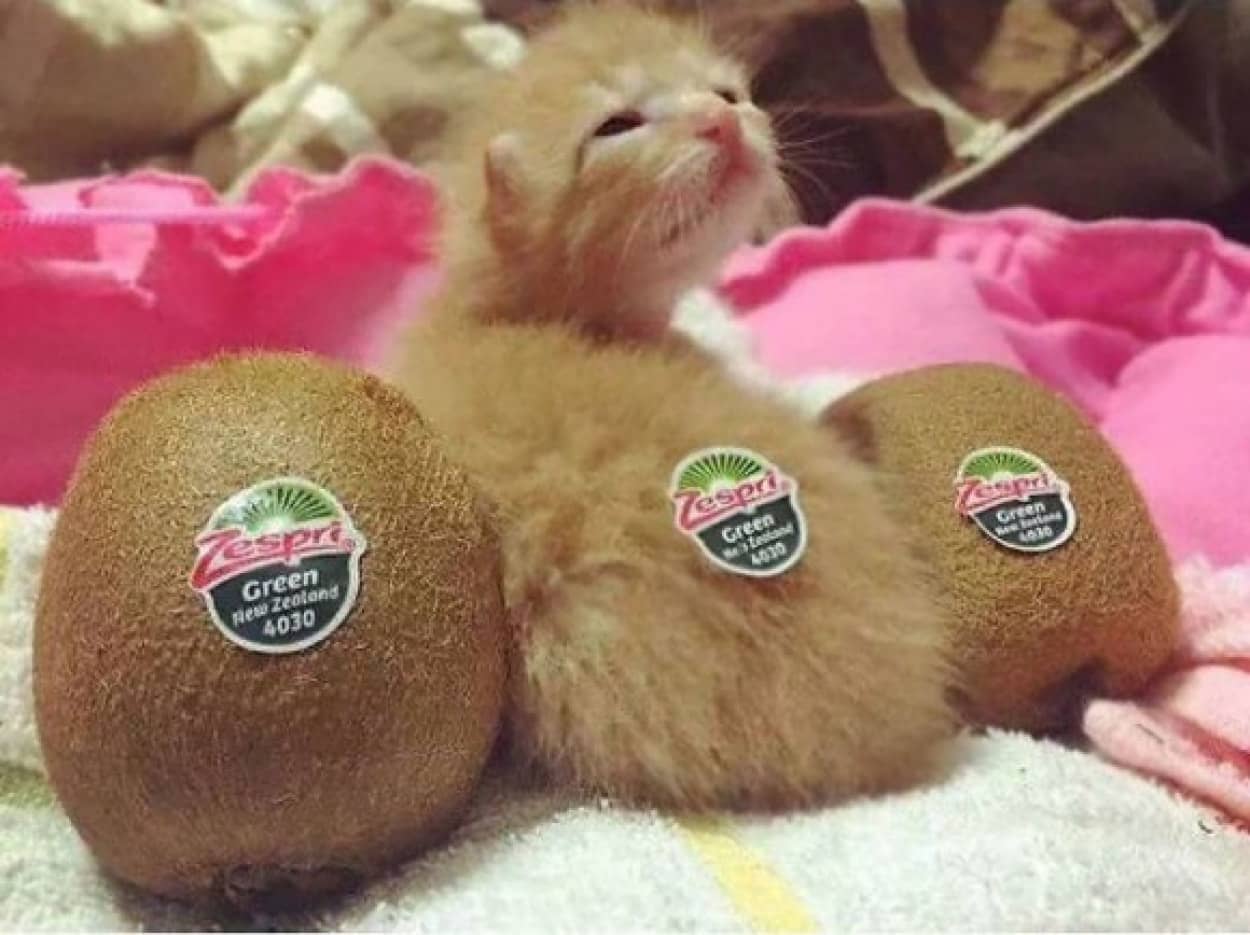 0_e7