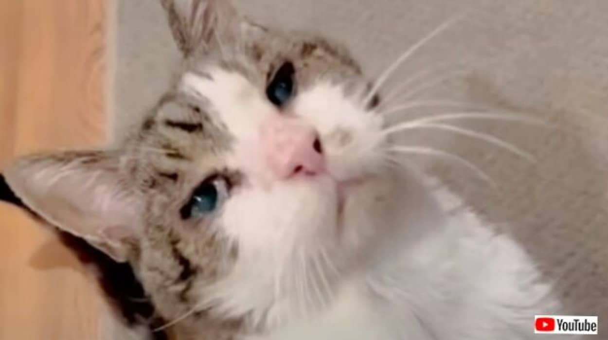 20230902_194634 (5)_batch