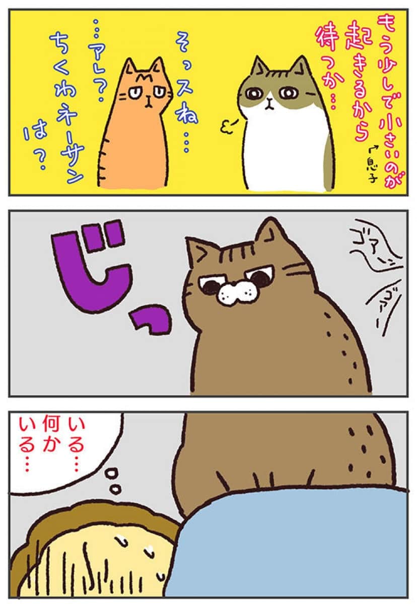 アレな生態系日常漫画 いぶかればいぶかろう 第17回 朝ごはんの為の3匹の猫たちの目覚ましミッション カラパイア