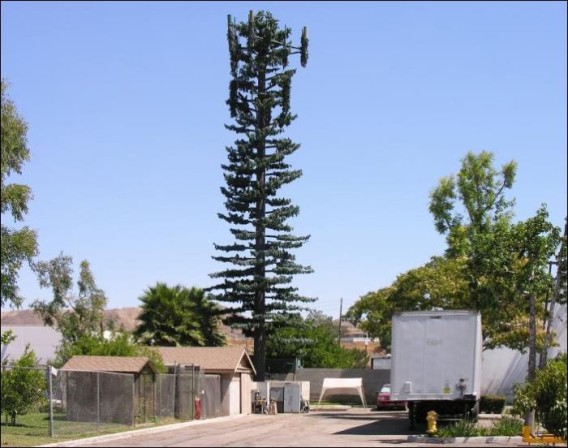 camouflaged_cell_phone_tower_18_e