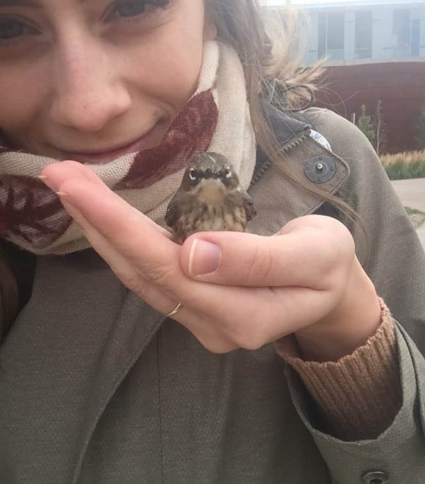 bird-1